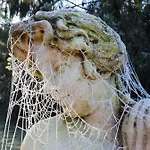 Le Tambourinet Πανσιόν