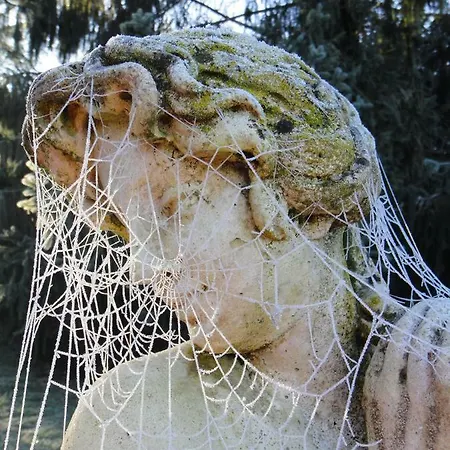 Le Tambourinet בית הארחה