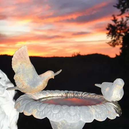 Le Tambourinet בית הארחה Belvès