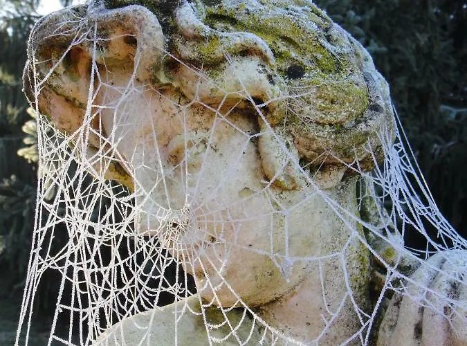 Le Tambourinet بيت ضيافة